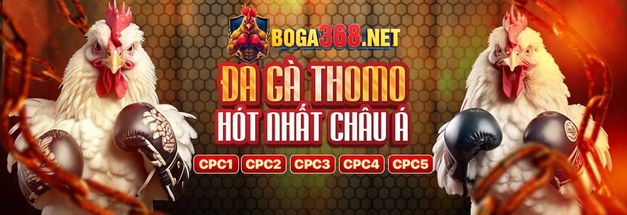 Điều khoản dịch vụ EV888 Khuyến Mãi