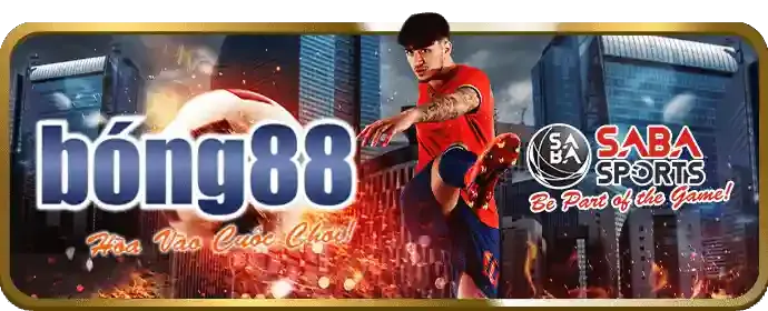 Đường dây nóng hỗ trợ EV888